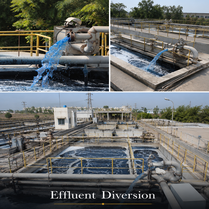 Effluent Diversion water Engineering Project: Water Resources Development